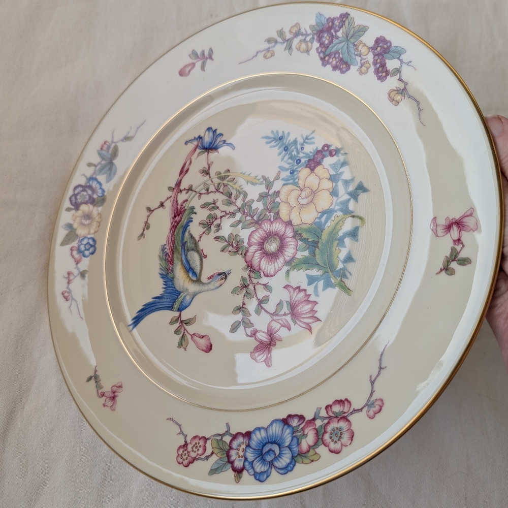 Vintage Rosenthal New Phoenix Porcelain Multicolor Bird Floral Dinner Plate - Picture 2 of 10